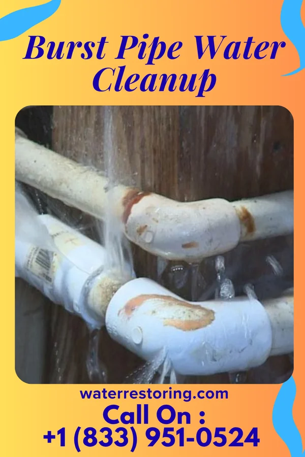 Burst Pipe Water Cleanup in Kouts, IN