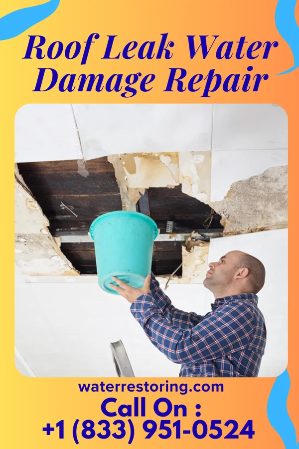 Roof Leak Water Damage Repair in Kouts, IN