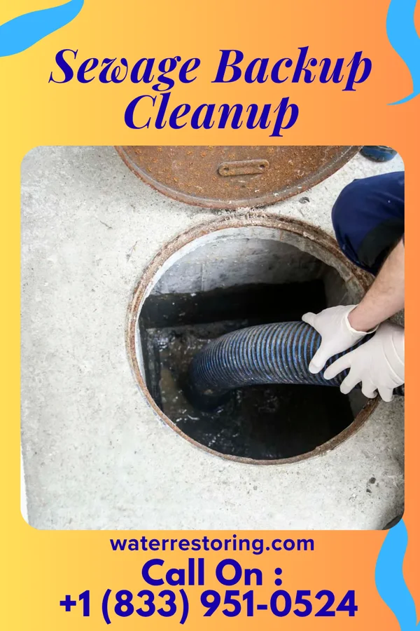 Sewage Backup Cleanup in Kouts, IN